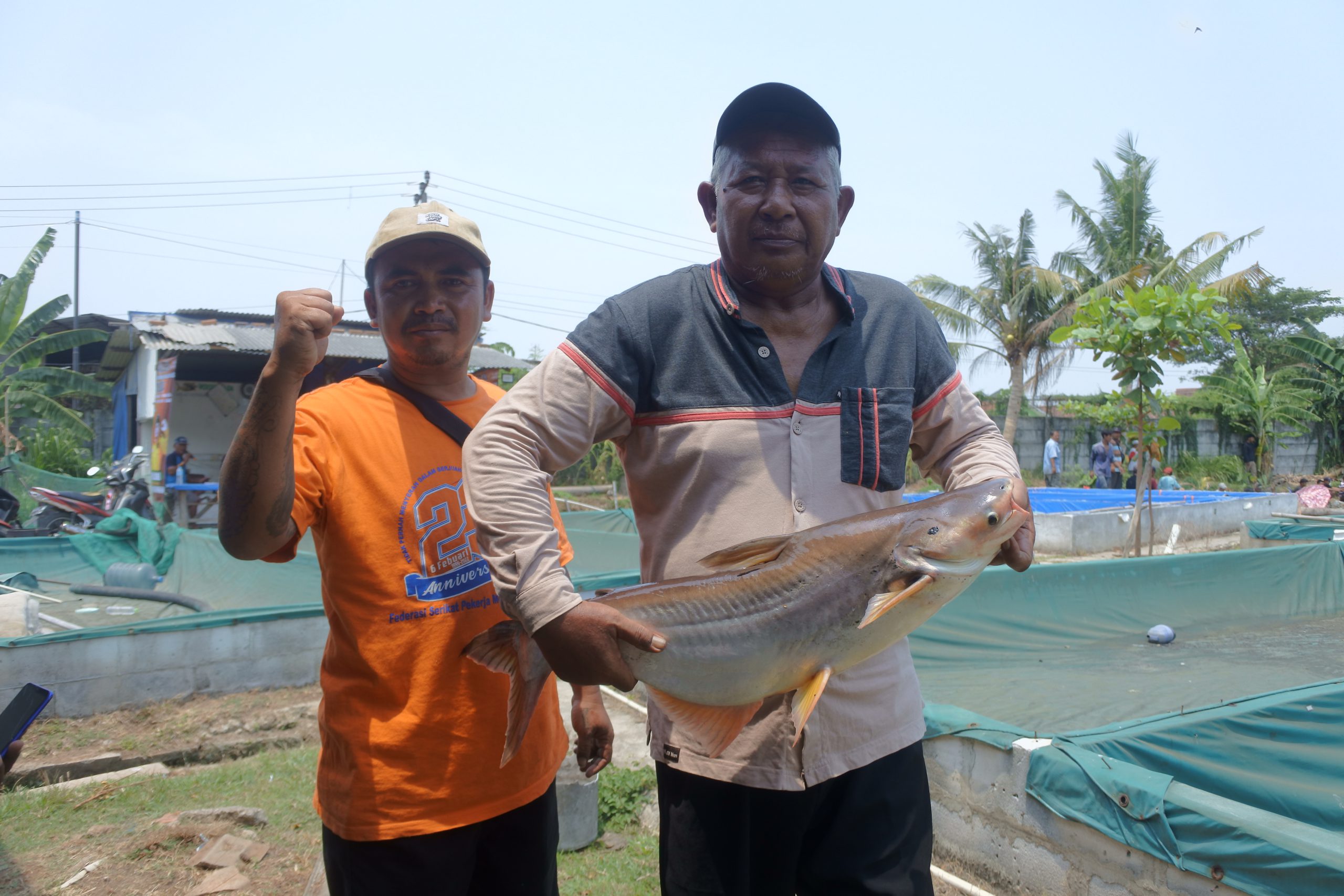 Sensasi Strike! Mancing Ikan Jambal Mengundang Penasaran