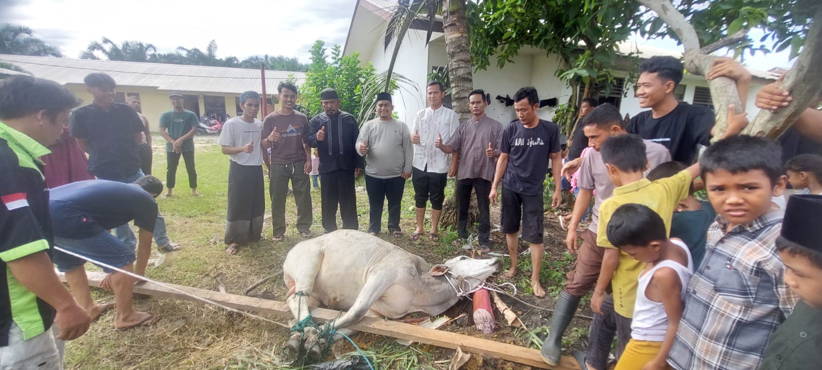 PT. MSB Sembelih Hewan Kurban dan Bagikan Daging Kurban Ke 2 Desa