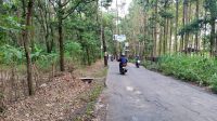 2 Orang Anggota PUK NTRI Laka Lantas Di Jalan Area Hutan Kertas Pada Hari Yang sama