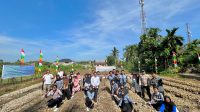 Upaya Penanggulangan Stunting: Mahasiswa Universitas Riau Tanam Jagung dan Sayuran di Desa Ranah Baru