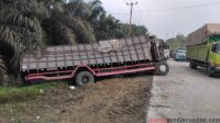 Tak Kuat Ditanjakan Sebabkan Dua Korban Luka Parah, Supir Truk Balak Kabur